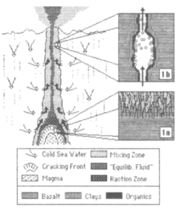 Initial Schematics of Jack Corliss in his paper