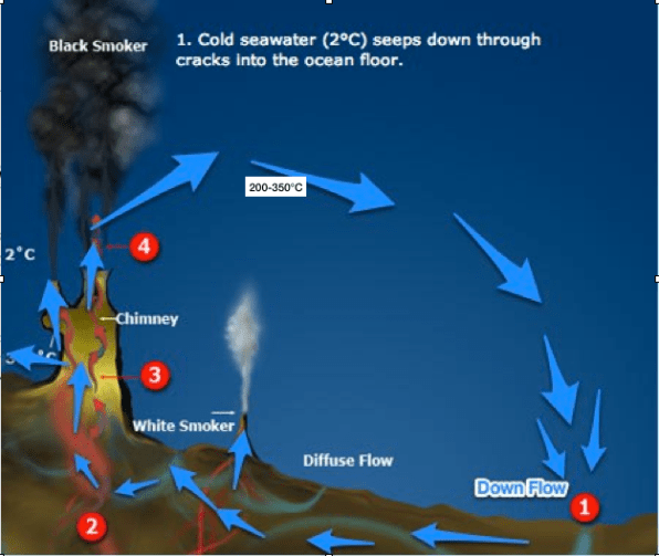HCFR mimicking a circulatory system in a real life vent.